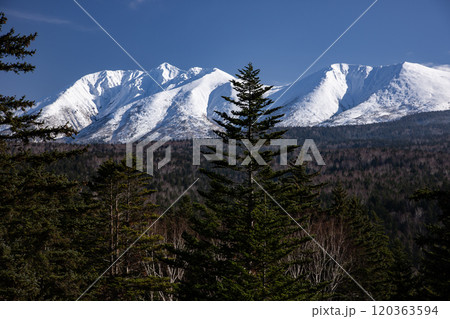 初冠雪の十勝岳連峰 120363594