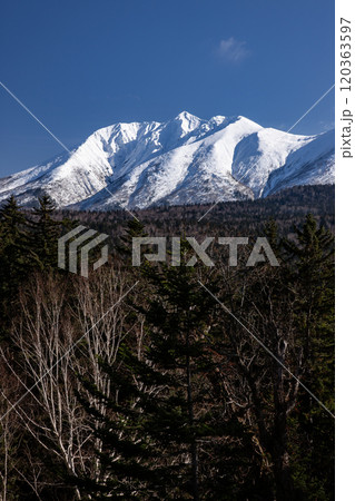 初冠雪の十勝岳連峰 120363597