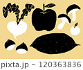 シンプルな秋野菜のイラスト 120363836