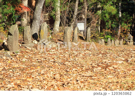 観音原石仏群　白馬村 120363862