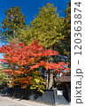 赤く紅葉したもみじと黒塀 120363874