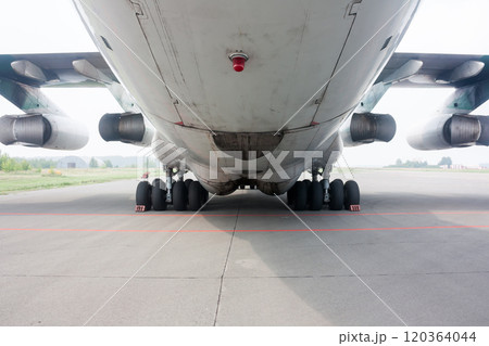 Rear view of main landing gear and cargo hatch of big wide body aircraft 120364044
