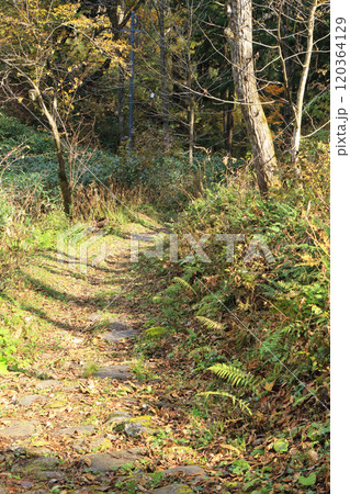 千国街道 親坂の石畳道 千国街道 親坂の石畳道 120364129