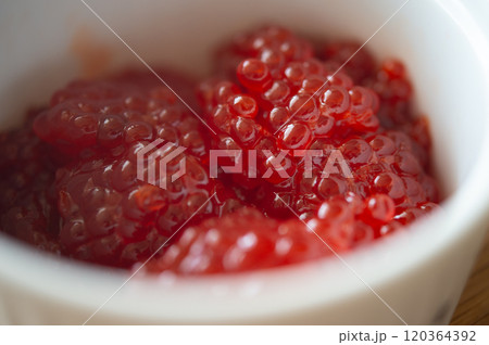 筋子 筋子 120364392