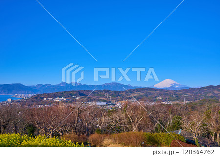 春の神奈川県中郡二宮町の吾妻山公園展望台から西側の眺望(小田原市,富士山,相模湾,箱根の山々など) 120364762