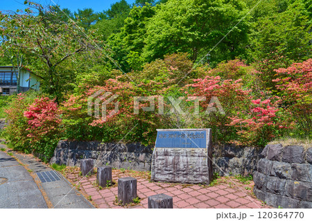 春の群馬県高崎市の榛名湖畔の宿記念公園 120364770