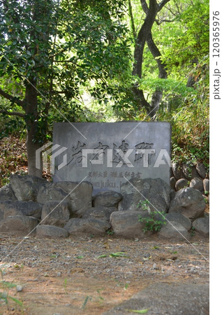 「岩宿遺跡」の石碑（岩宿遺跡 A地点／群馬県みどり市） 120365976