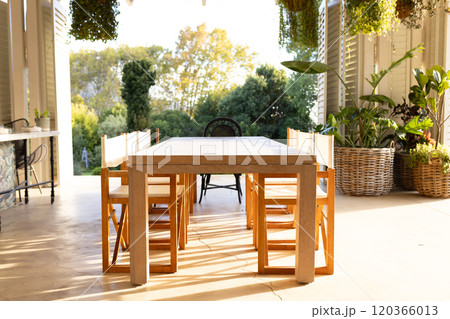Dining table with wooden chairs in sunlit patio, surrounded by lush greenery 120366013