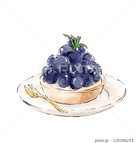 ブルーベリータルト 120366258