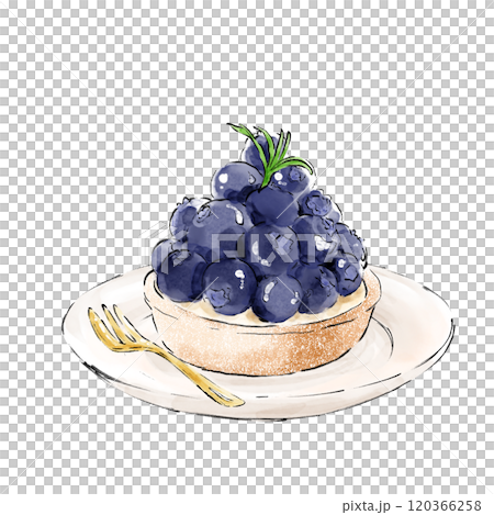 ブルーベリータルト 120366258