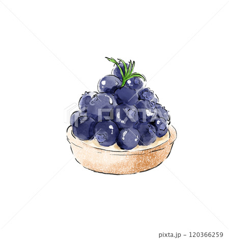 ブルーベリータルト ブルーベリータルト 120366259