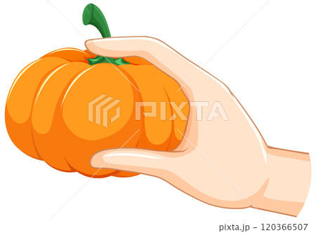 Hand Holding a Small Pumpkin 120366507