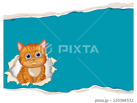 Curious Cat Peeking Through Paper 120366532