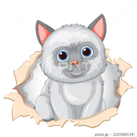 Cute Kitten Peeking Through Paper 120366539
