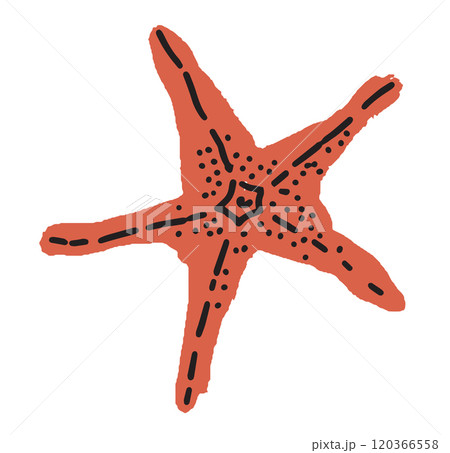 Detailed starfish ocean vector illustration 120366558