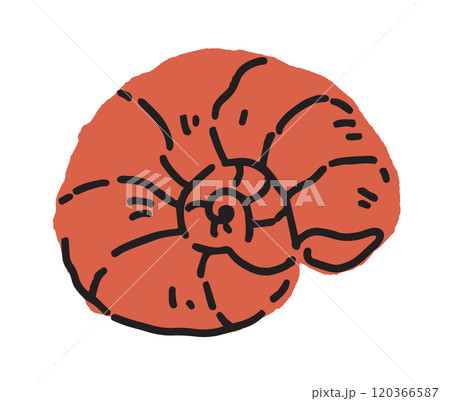 Abstract spiral shell vector illustration 120366587