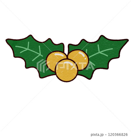 Christmas holly and berries  120366826