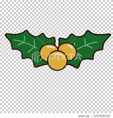 Christmas holly and berries  120366826