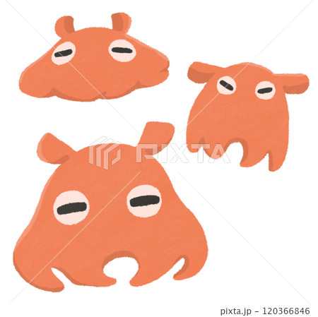 メンダコのイラスト 120366846