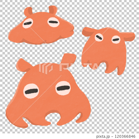 メンダコのイラスト 120366846