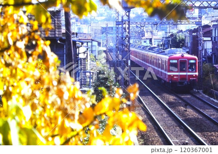 秋の京急・杉田駅から屛風浦へ向かう旧1000形1250他の快特、1981年11月21日 120367001