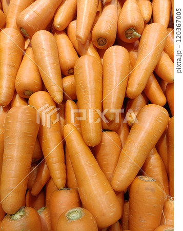 many carrots for sale in supermarket many carrots for sale in supermarket 120367005