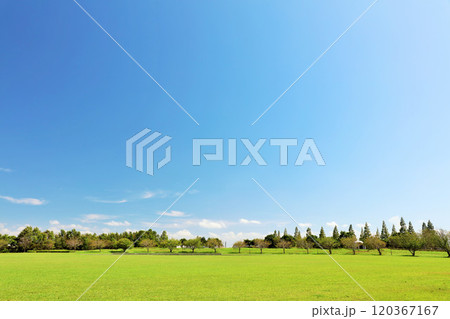 夏の青空と新緑の公園風景 120367167
