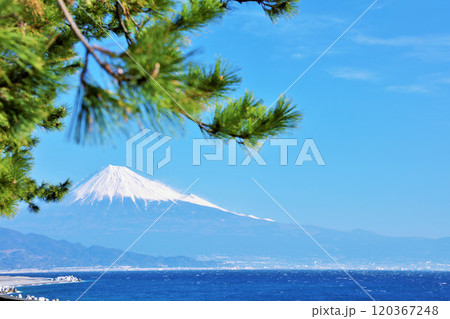 静岡県　青空の三保の松原と富士山 120367248