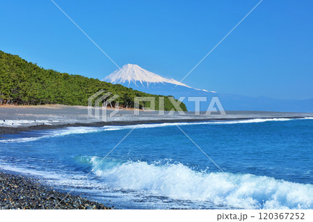 静岡県　青空の三保の松原と富士山 120367252