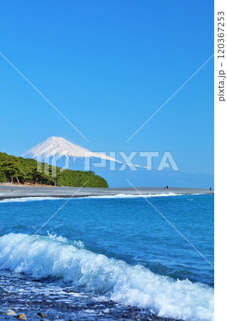 静岡県　青空の三保の松原と富士山 120367253