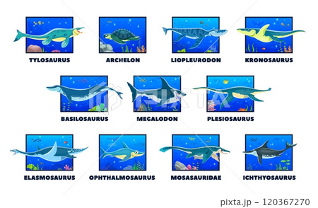 Cartoon prehistoric underwater dinosaurs. Vector set of ancient underwater creatures, with their names. Sea and ocean swimming dino animals in colorful, vibrant scenes with marine plants and corals 120367270