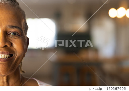 Smiling elderly woman at home, showing happiness and contentment, copy space 120367496