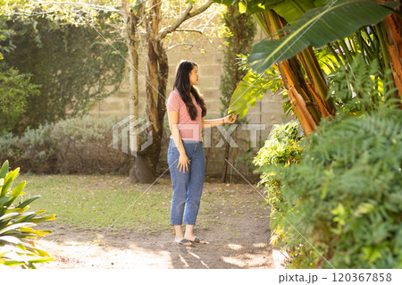 Touching plants and enjoying nature, Asian woman exploring garden outdoors 120367858