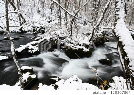 雪景色 120367864