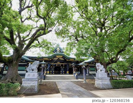 穴八幡宮・新宿区 120368156