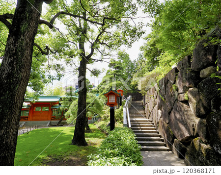 穴八幡宮・新宿区 120368171