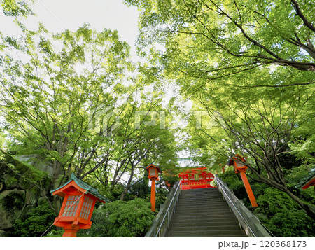 穴八幡宮・新宿区 120368173