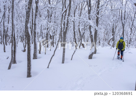 スノーシュートレッキングのイメージ　大山鏡ヶ成   120368691