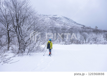 スノーシュートレッキングのイメージ　大山鏡ヶ成   120368698