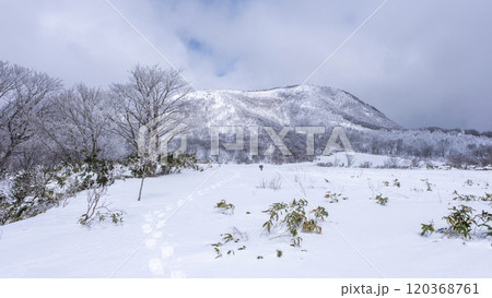 スノーシュートレッキングのイメージ　大山鏡ヶ成   120368761