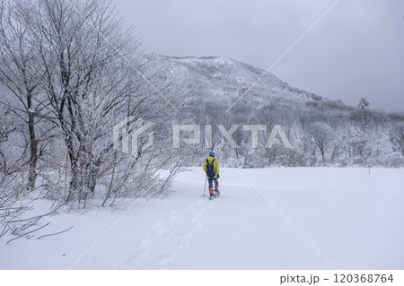 スノーシュートレッキングのイメージ　大山鏡ヶ成   120368764