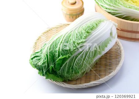 新鮮な冬の白菜 （ 白背景 ） 120369921