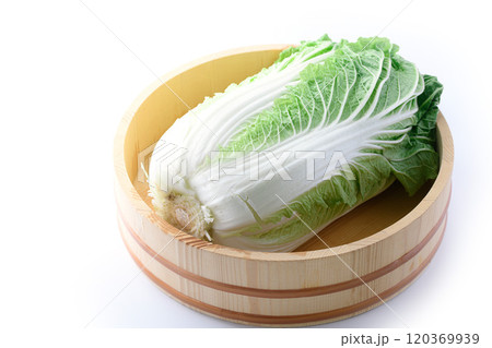 新鮮な冬の白菜 （ 白背景 ） 120369939