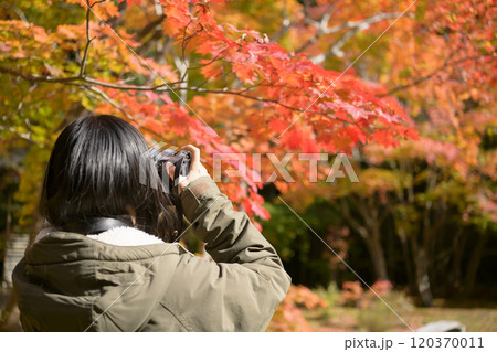 紅葉を撮る女性 120370011