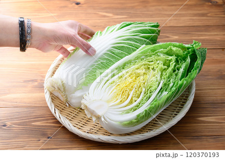 新鮮な冬の白菜 （ ハーフカット 半分 ）木目背景 120370193