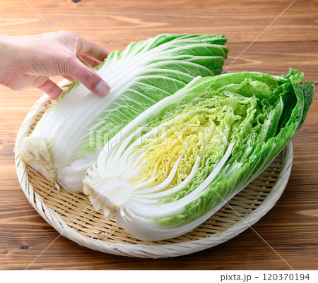 新鮮な冬の白菜 （ ハーフカット 半分 ）木目背景 120370194