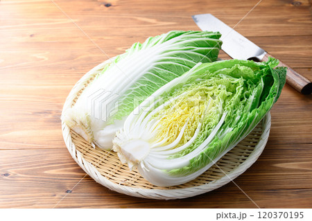 新鮮な冬の白菜 ( ハーフカット 半分 )木目背景 新鮮な冬の白菜 ( ハーフカット 半分 )木目背景 120370195