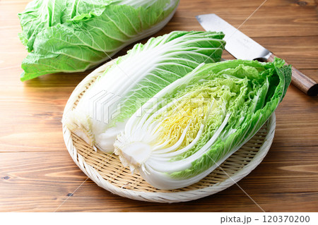 新鮮な冬の白菜 （ ハーフカット 半分 ）木目背景 120370200