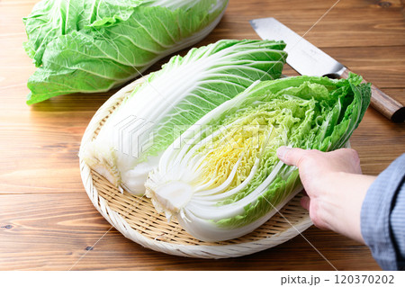 新鮮な冬の白菜 ( ハーフカット 半分 )木目背景 新鮮な冬の白菜 ( ハーフカット 半分 )木目背景 120370202