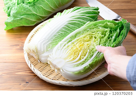 新鮮な冬の白菜 （ ハーフカット 半分 ）木目背景 120370203